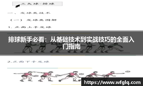 排球新手必看：从基础技术到实战技巧的全面入门指南